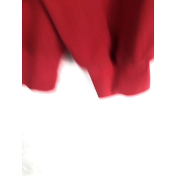 Savanna Red Heavy Weight Sweater Sweatshirt Hoodie Men’s Size Small - Picture 11 of 13